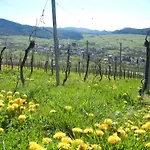 Haus Am Blauenbach *
