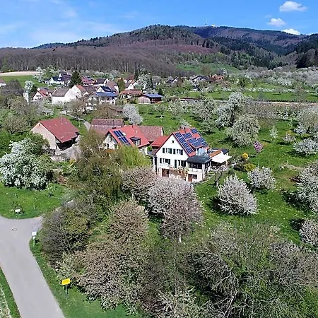 Apartament Haus Am Blauenbach *