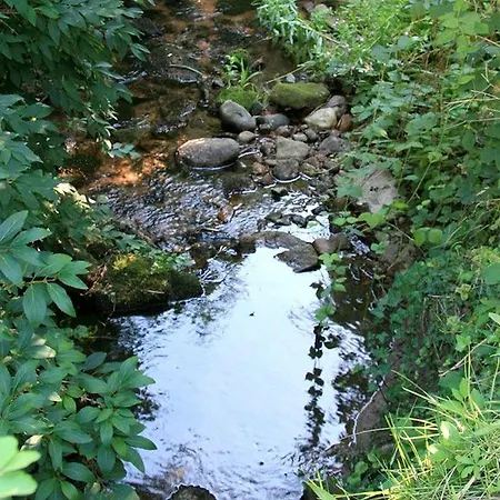Lägenhet Haus Am Blauenbach