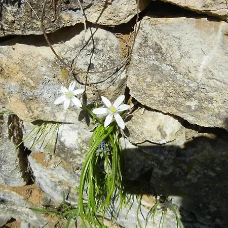 Haus Am Blauenbach * Schliengen