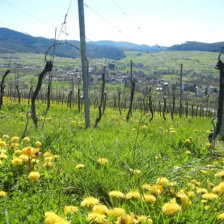 Haus Am Blauenbach *